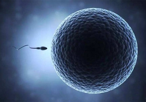 慈铭博鳌医院三代试管婴儿适应症分别是什么？