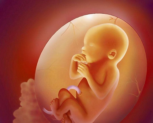 试管婴儿促排卵对人体有危害吗？