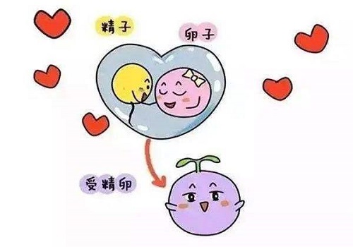 纵览美国试管婴儿成功率：梦美的数据与实力