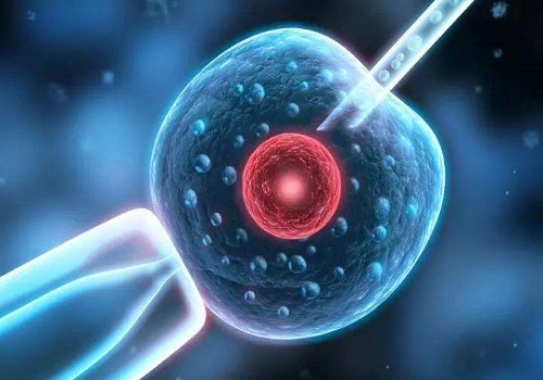 精子碎片高，去美国做试管还能养囊成功吗？