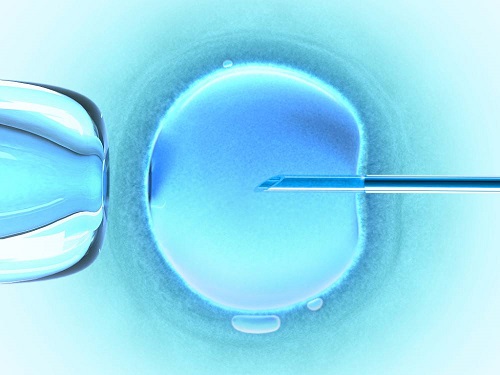怎么提高赴俄罗斯IVF的胚胎着床率