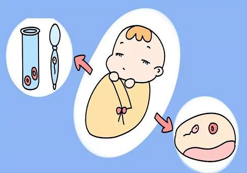 试管婴儿不是惟一的助孕手段