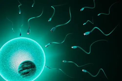 如何提高精子质量？美国第三代试管婴儿告诉您