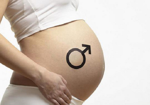 解析：美国试管婴儿胚胎实验室的重要性