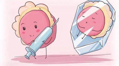 试管婴儿冷冻胚胎解冻后能正常发育吗？