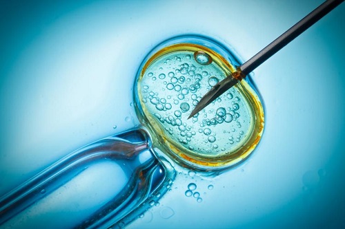 试管婴儿中卵巢功能降低是为什么？怎么调养？