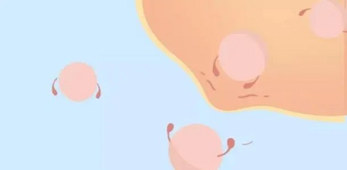 试管婴儿为什么会停孕？引起胎停的原因是什么？