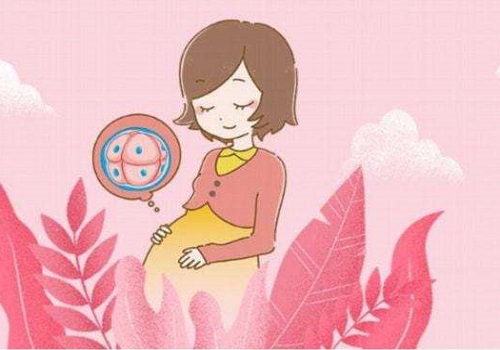试管婴儿医院的取卵的过程是怎样的