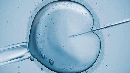 试管婴儿冻胚移植成功率高吗
