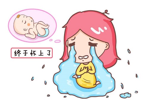 试管婴儿做一次需要多少钱