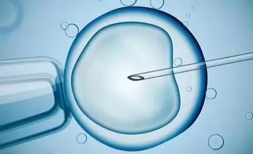 胚胎质量差、碎片多，美国试管婴儿怎么办？