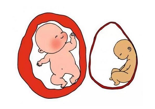 试管婴儿孩子不能生育或只能做试管生育？